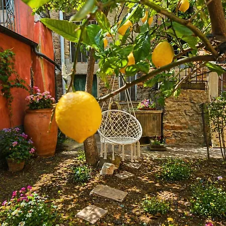 Limonaia