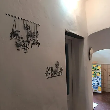 Limonaia *